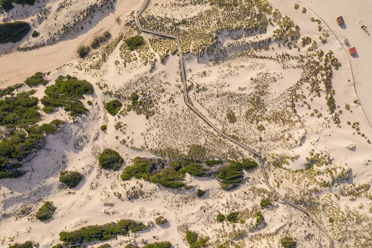 Pasarela de madera que cruza las dunas de Cala Mesquida entre matorral y pinos