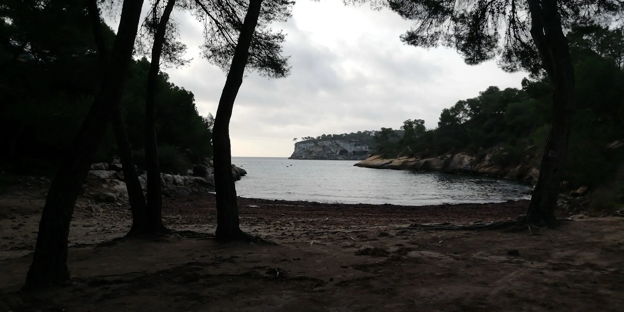 The sand of Cala Falcó in the shade of the pines, with the sea and the cliff coast behind
