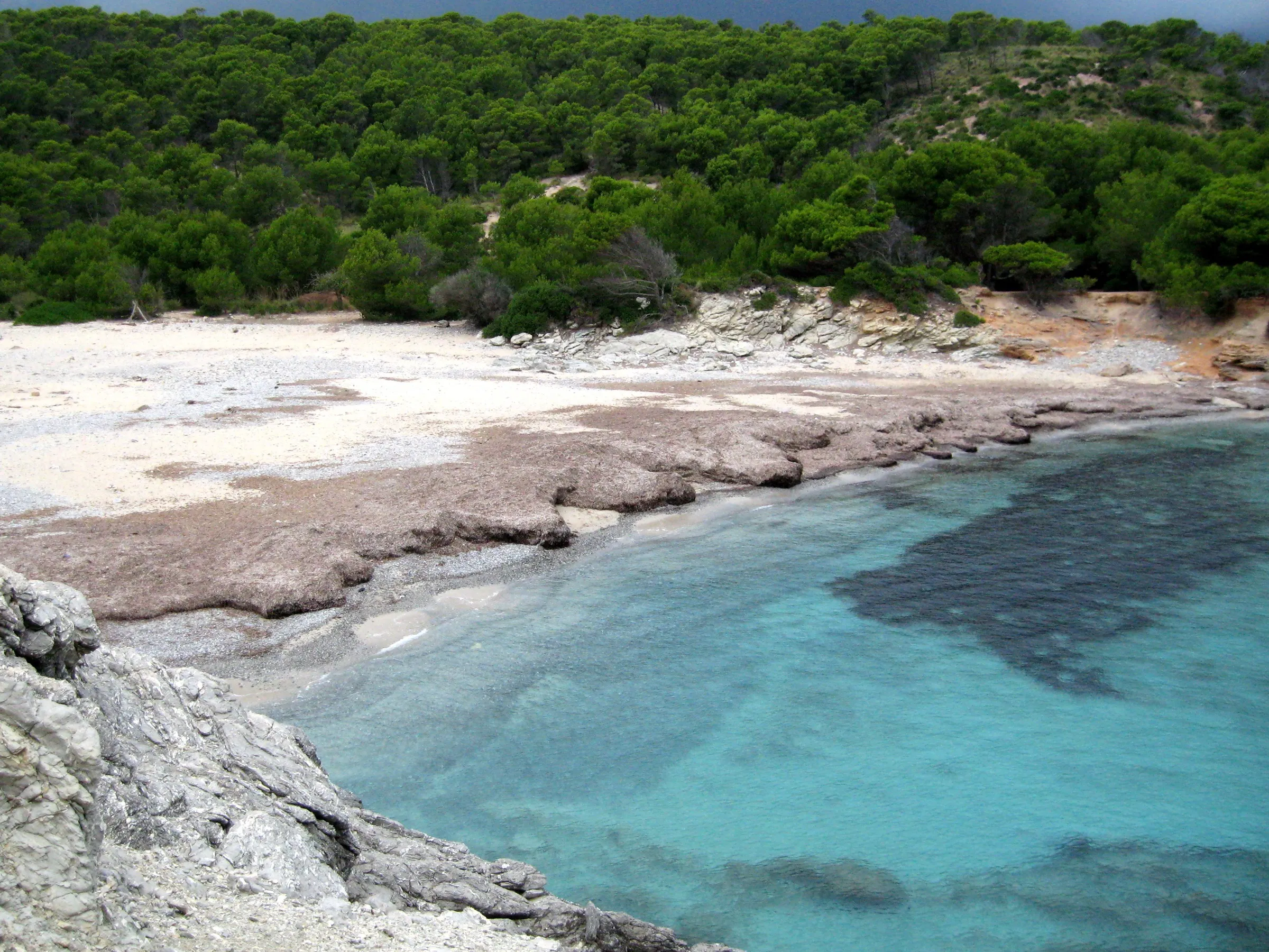 Agua turquesa con manchas de posidonia junto a la orilla de Cala Matzoc