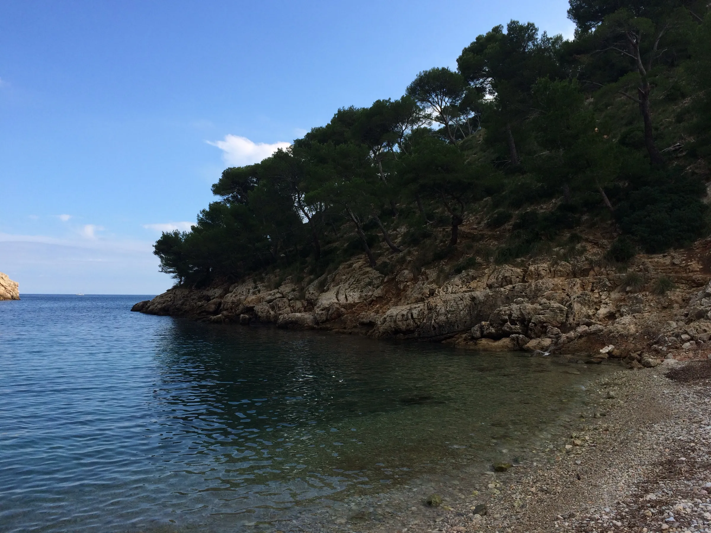 Orilla de cantos y agua clara bajo los pinos en un lado de Cala Murta
