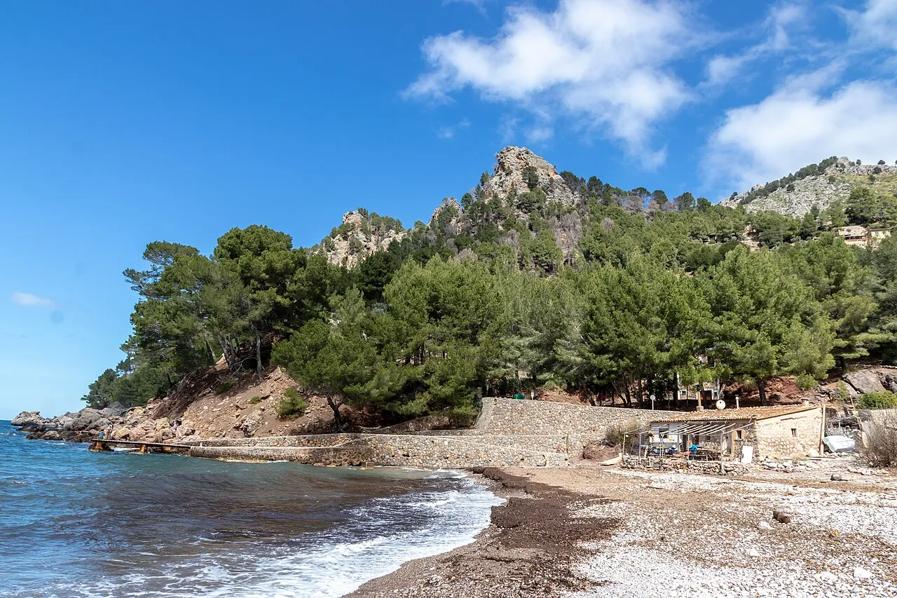 Extremo de Cala Tuent con un muro de piedra, una caseta y pinar bajo una cresta rocosa
