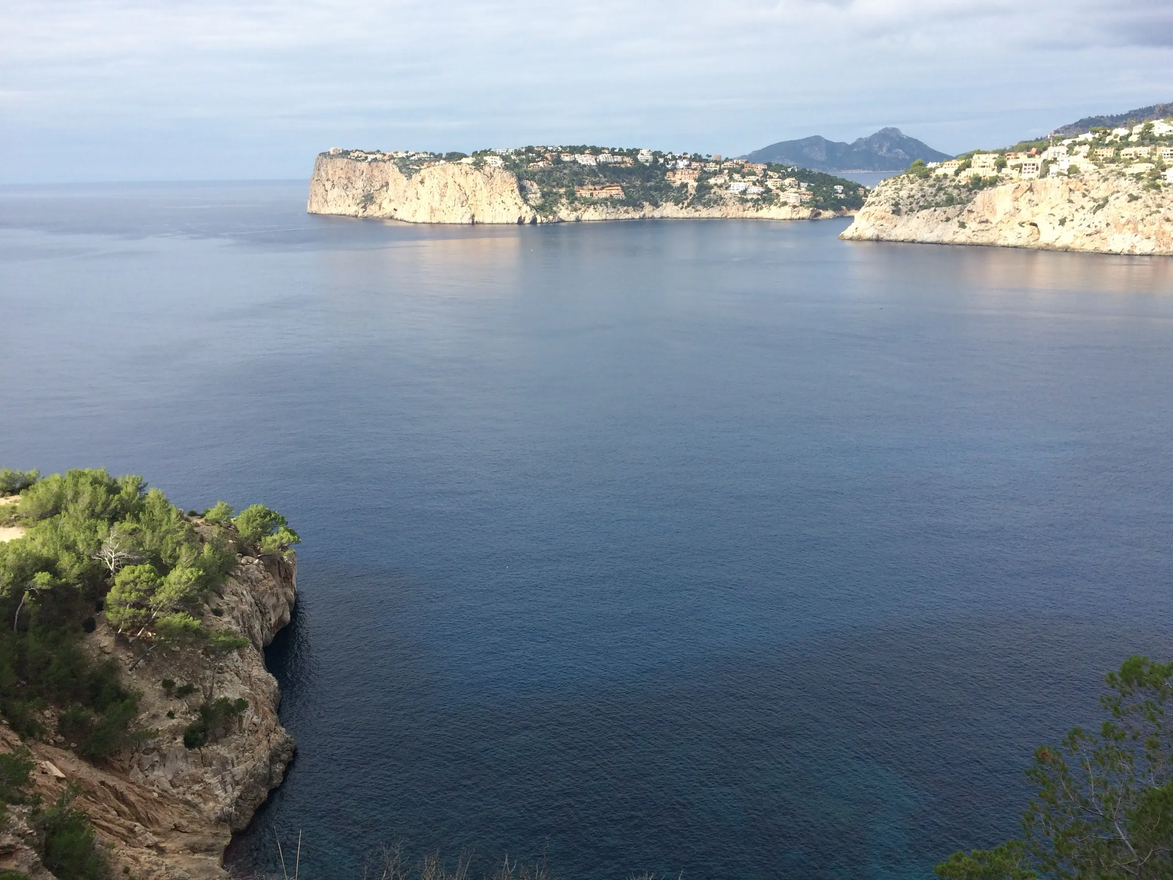Agua en calma en la entrada de Cala Llamp, con pinar en primer plano y sa Mola al fondo