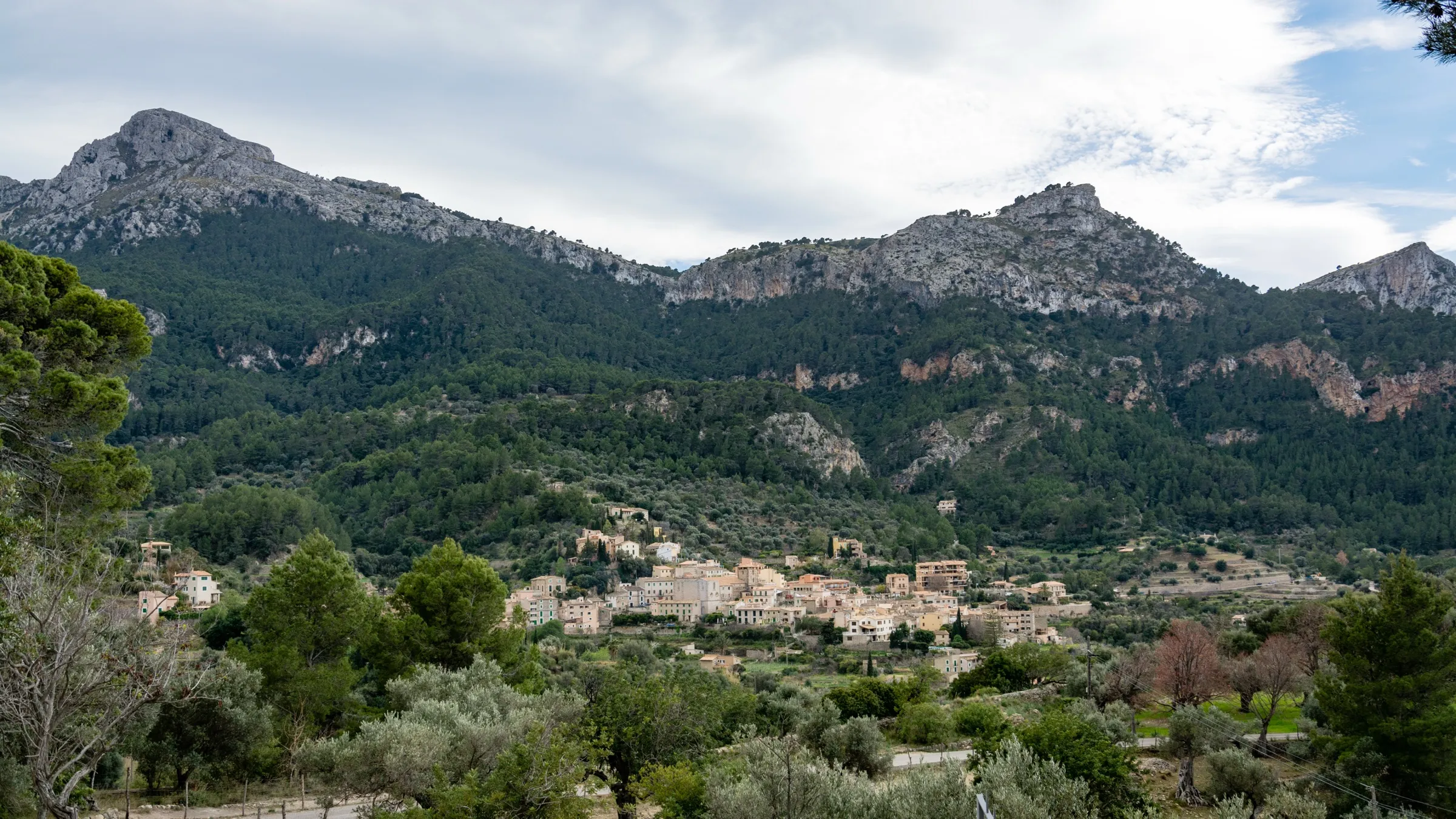 El pueblo de Estellencs entre olivos y bancales, con el Puig de Galatzó detrás; desde aquí se baja a la cala