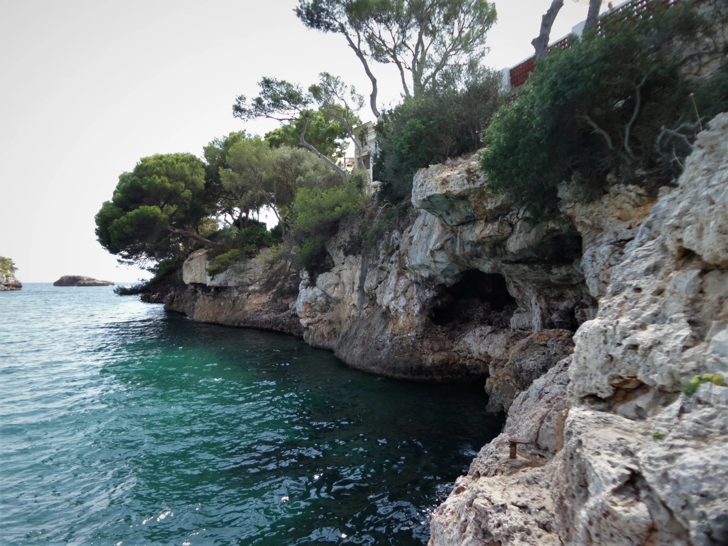 Acantilado bajo de roca con pinos sobre el agua transparente a la salida de Cala Ferrera
