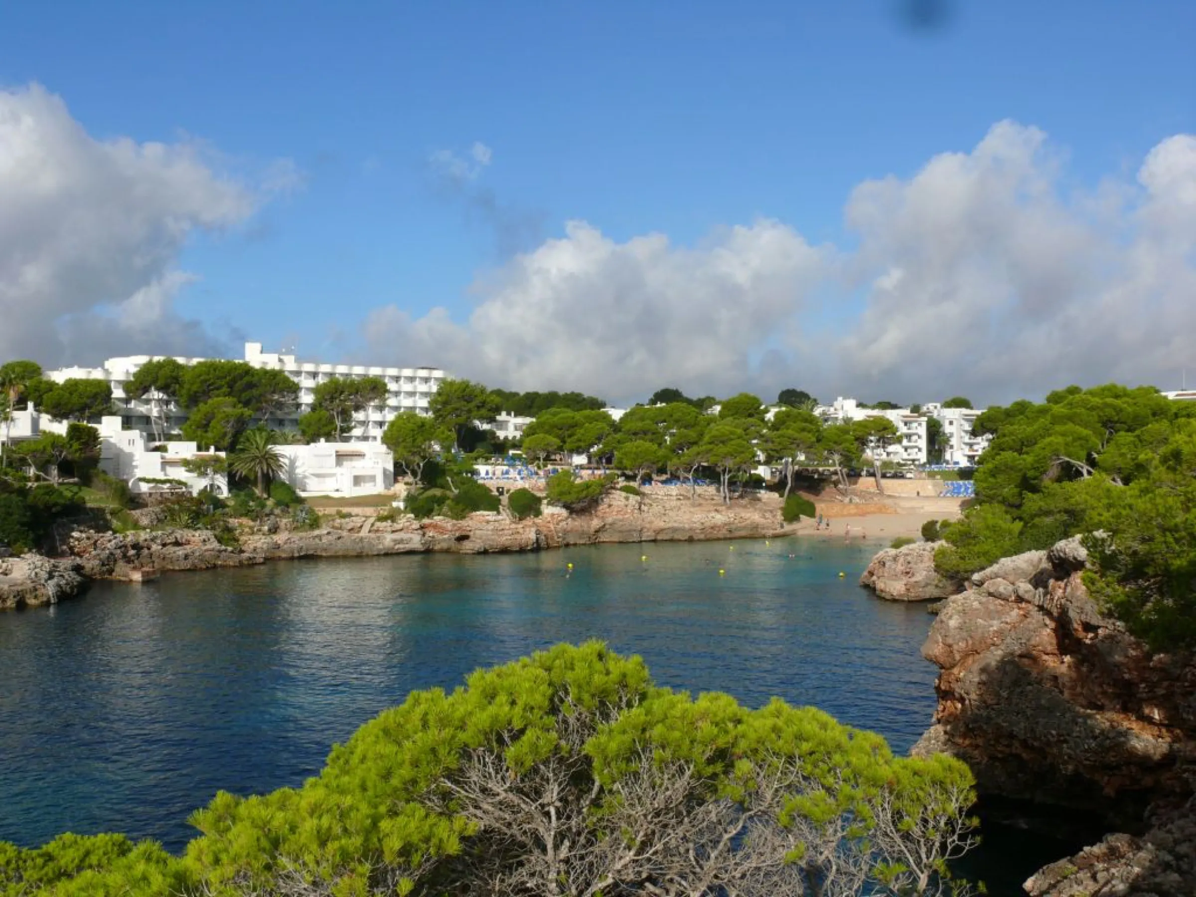 Cala Esmeralda desde lo alto, con la pequeña playa entre pinos y el agua azul del entrante