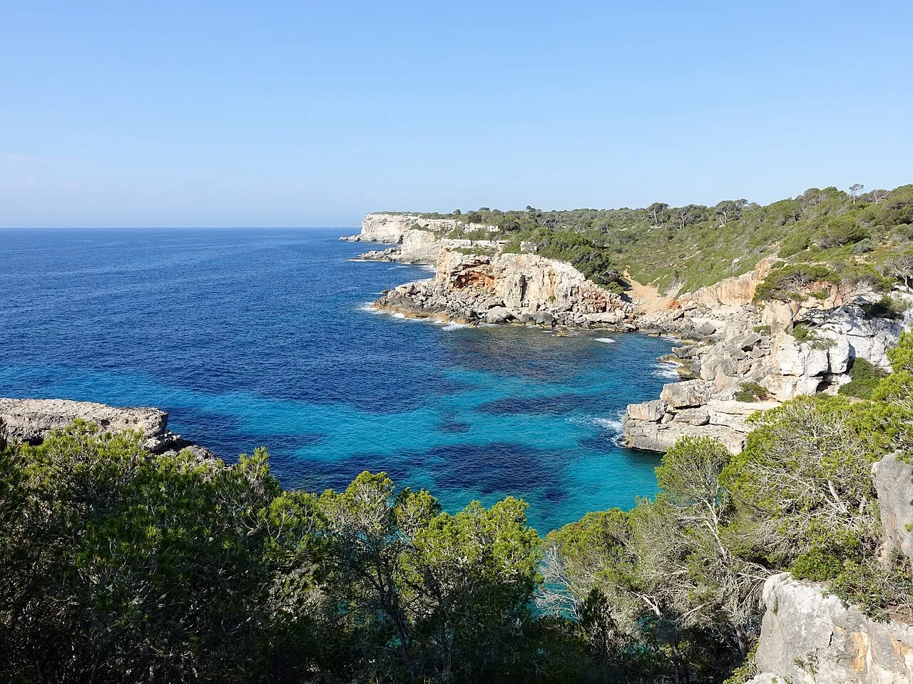 Costa de acantilados y pinar junto a Cala s'Almunia, vista desde lo alto con el mar azul