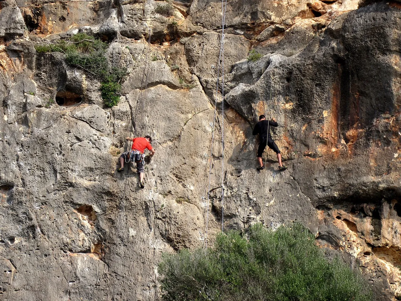 Dos escaladores de espaldas en una pared de roca caliza de Cala Magraner