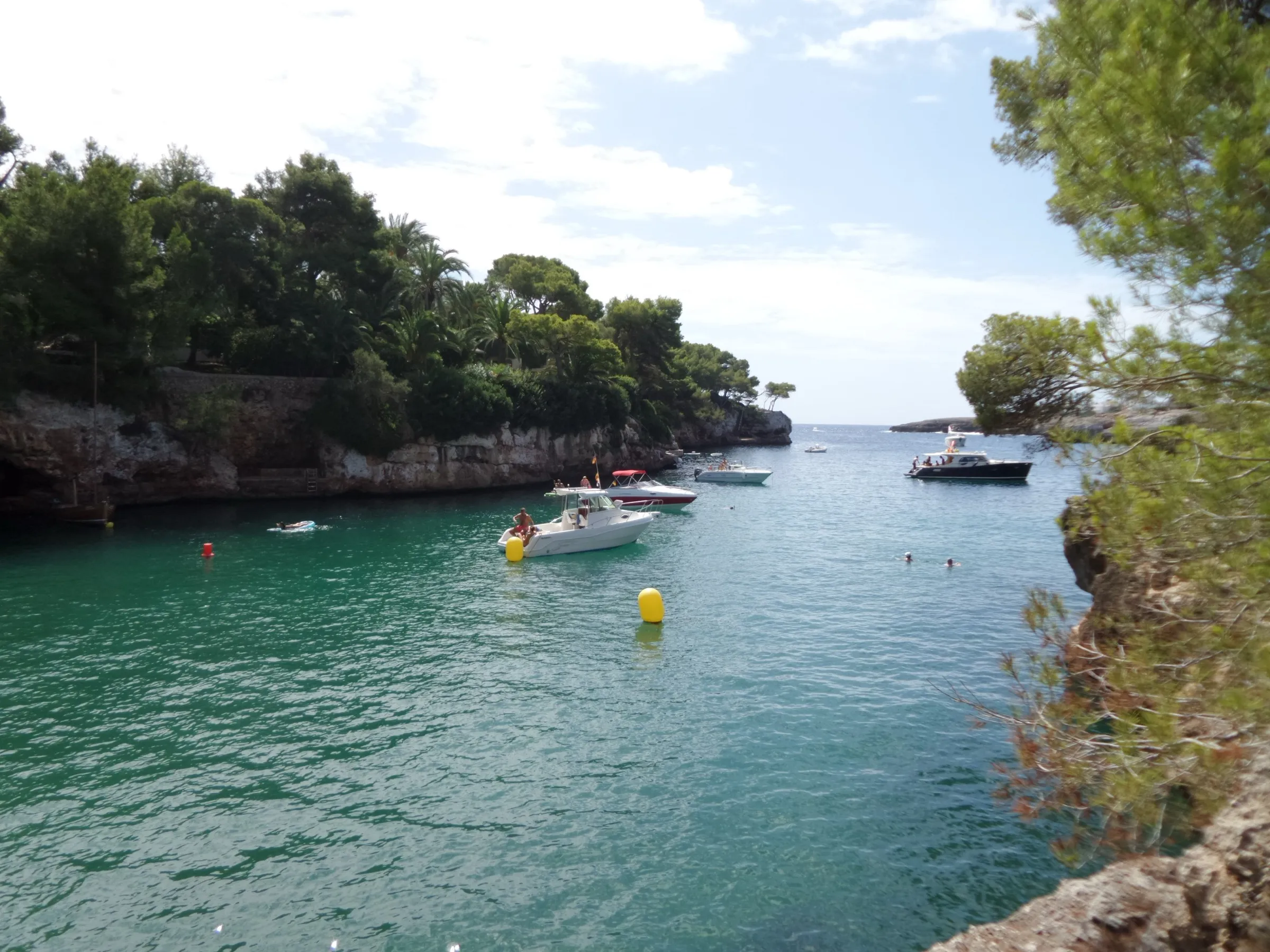 Speedboats anchored at the mouth of the Cala Serena inlet, between low cliffs with pines