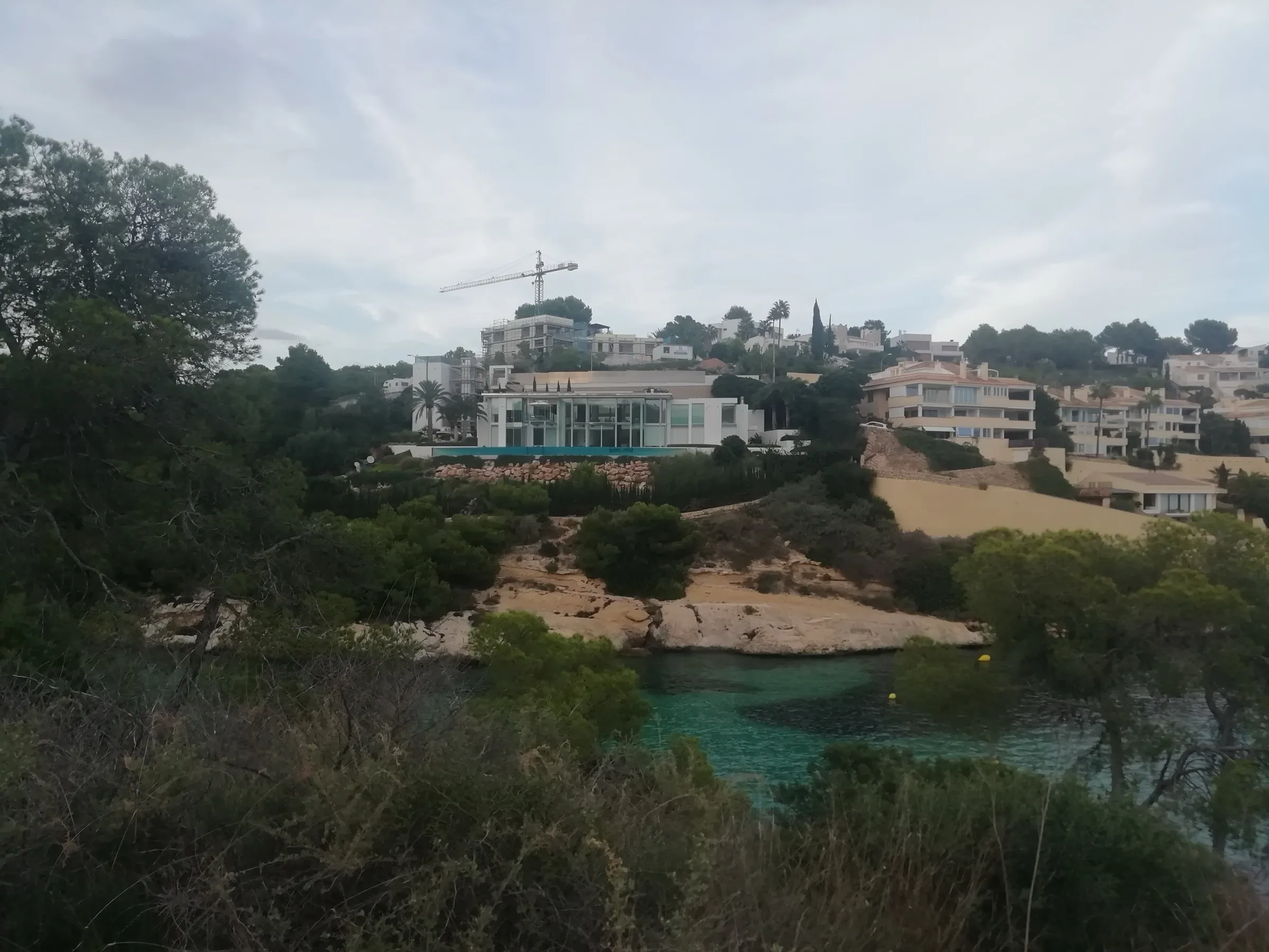 The water of Cala Falcó among the pine woods, with houses and apartments of the resort up above