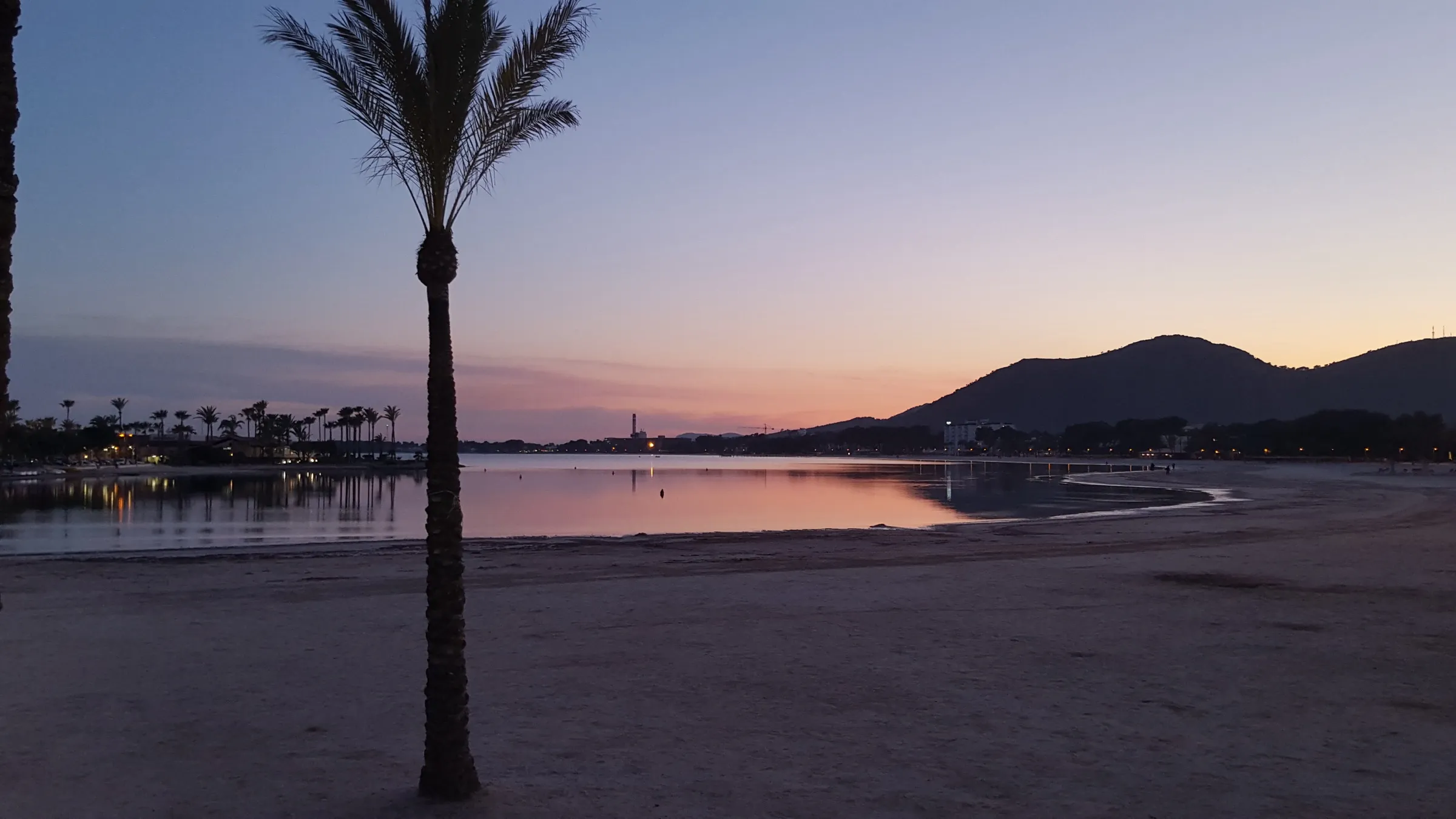 Atardecer sobre el agua en calma de la bahía de Alcúdia, con una palmera y las montañas recortadas